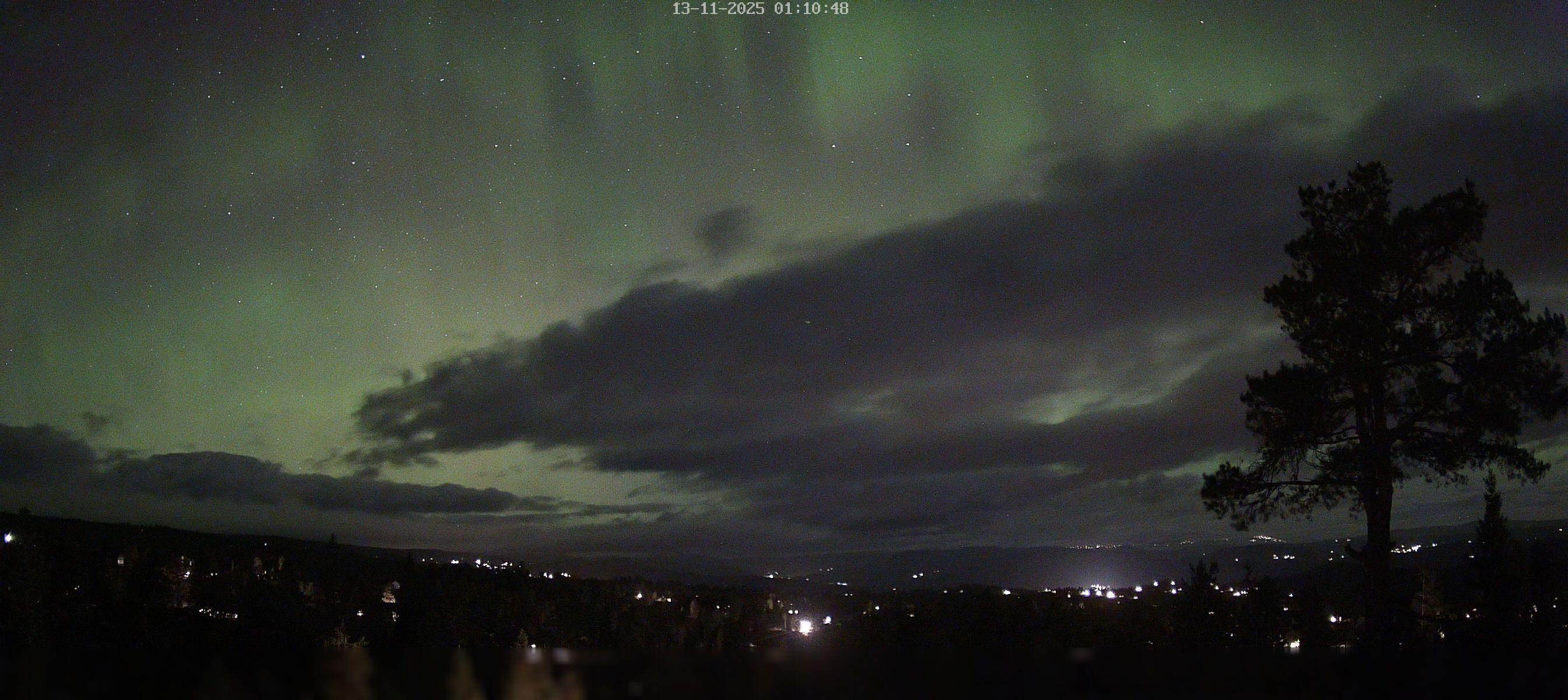 Nighttime webcam photo capturing a view of the sky with green streaks of Aurora Borealis. A singular tree can be seen on the right side of the image, and more trees further in the distance. It's cloudy. It's 38ºF/3ºC.