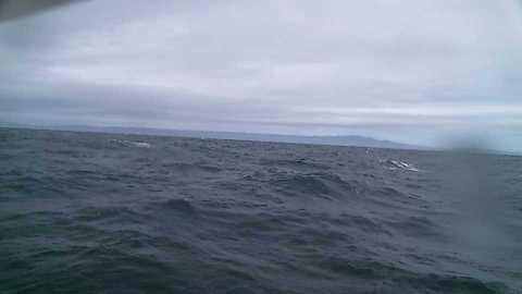 This is an image captured by a buoy floating at sea.